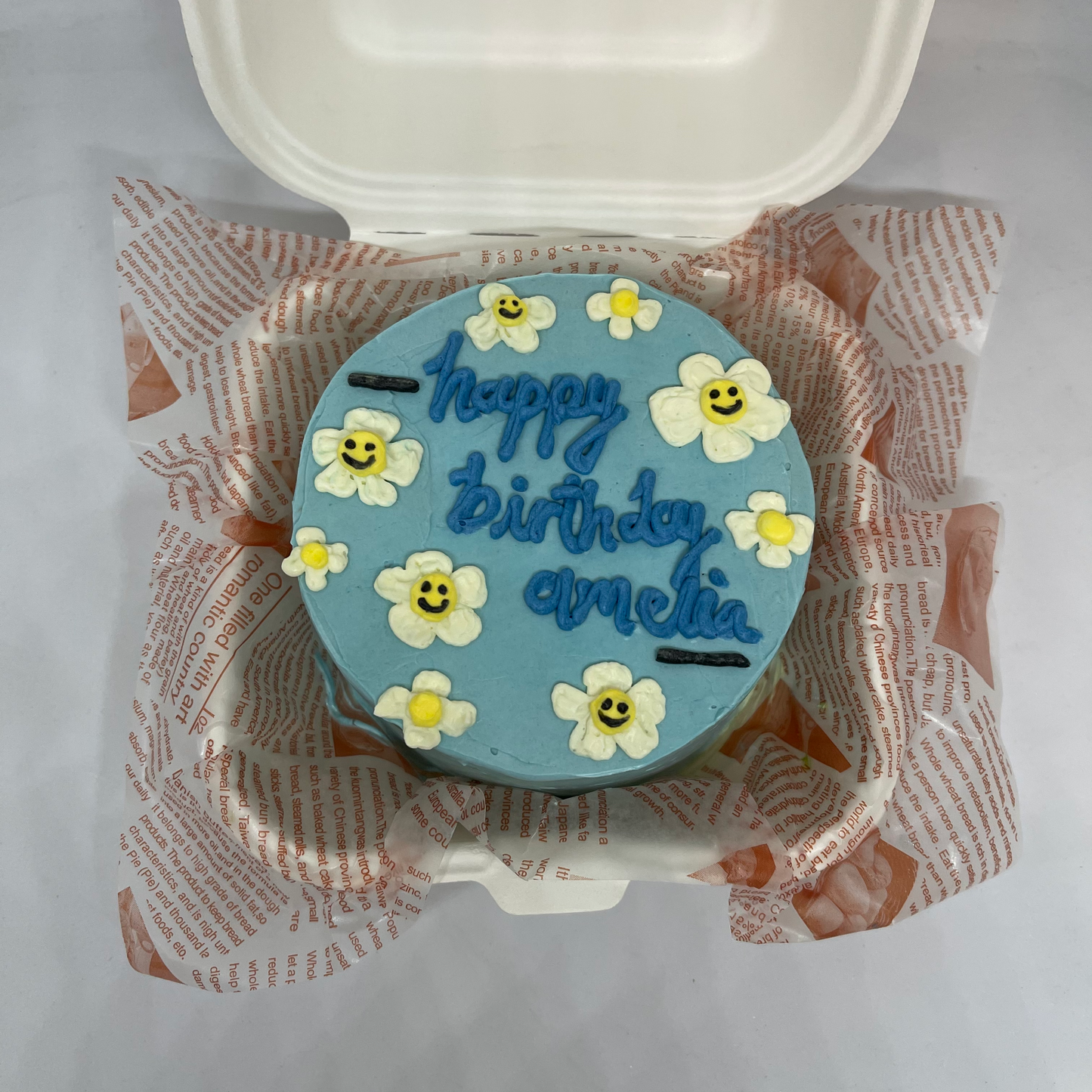 Korean Lunchbox Cake (Custom Designs)