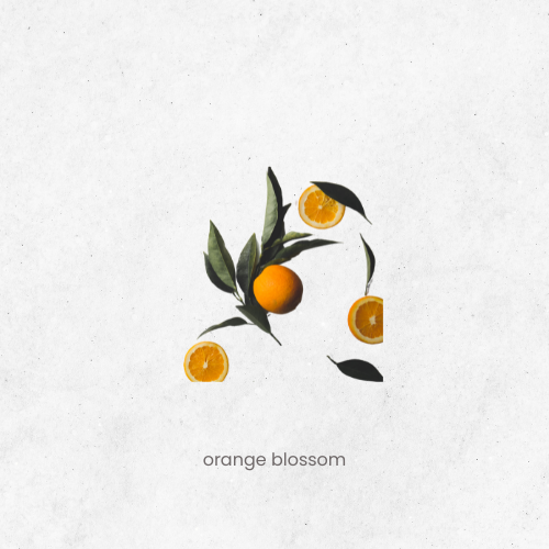 Orange Blossom